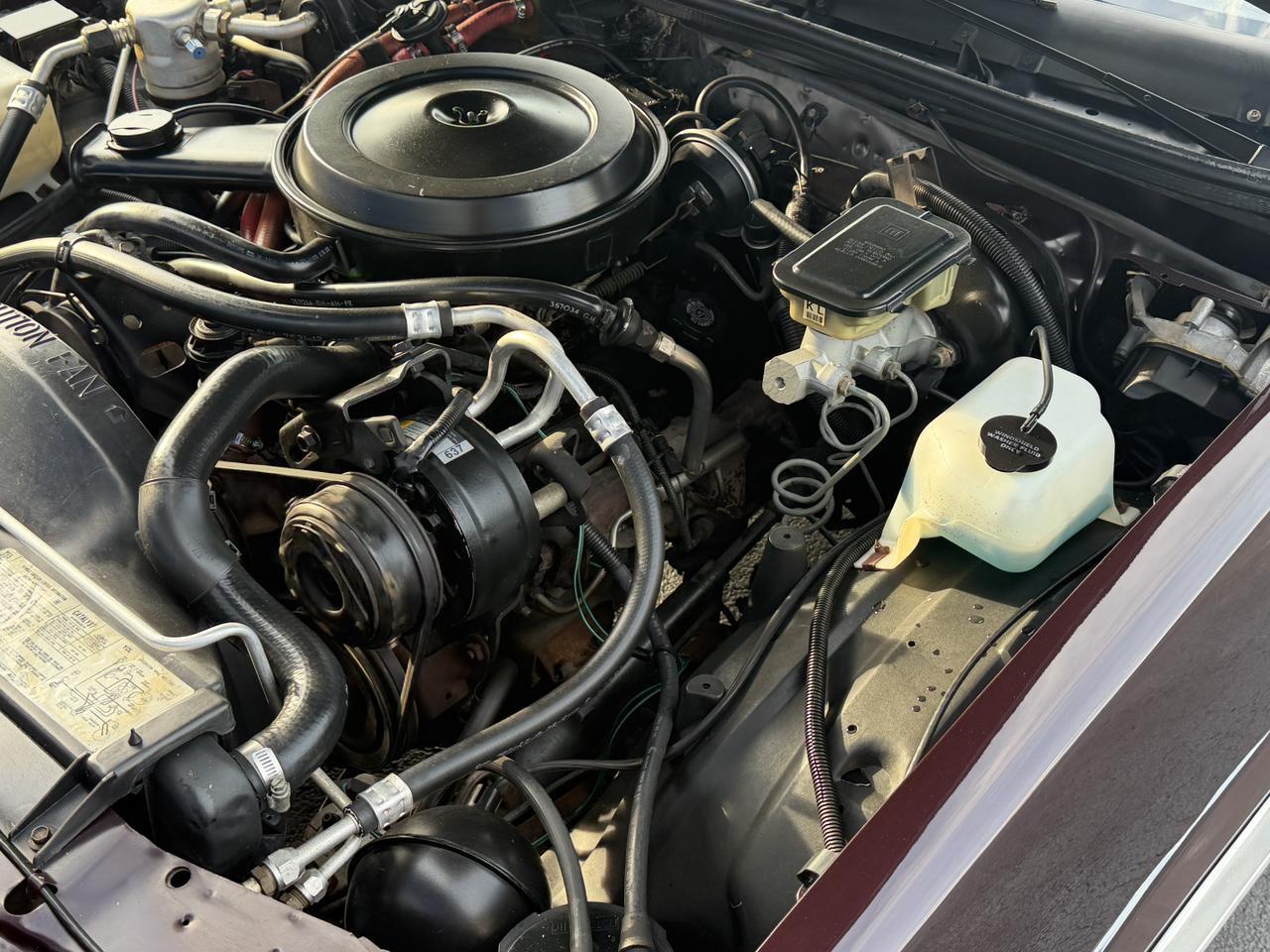 1986 CHEVROLET EL CAMINO CONQUISTA Connellsville PA