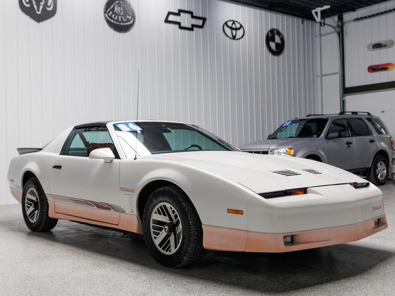 1986 Pontiac Firebird Trans Am
