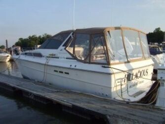 Sea Ray 390 Express Cruiser  1988