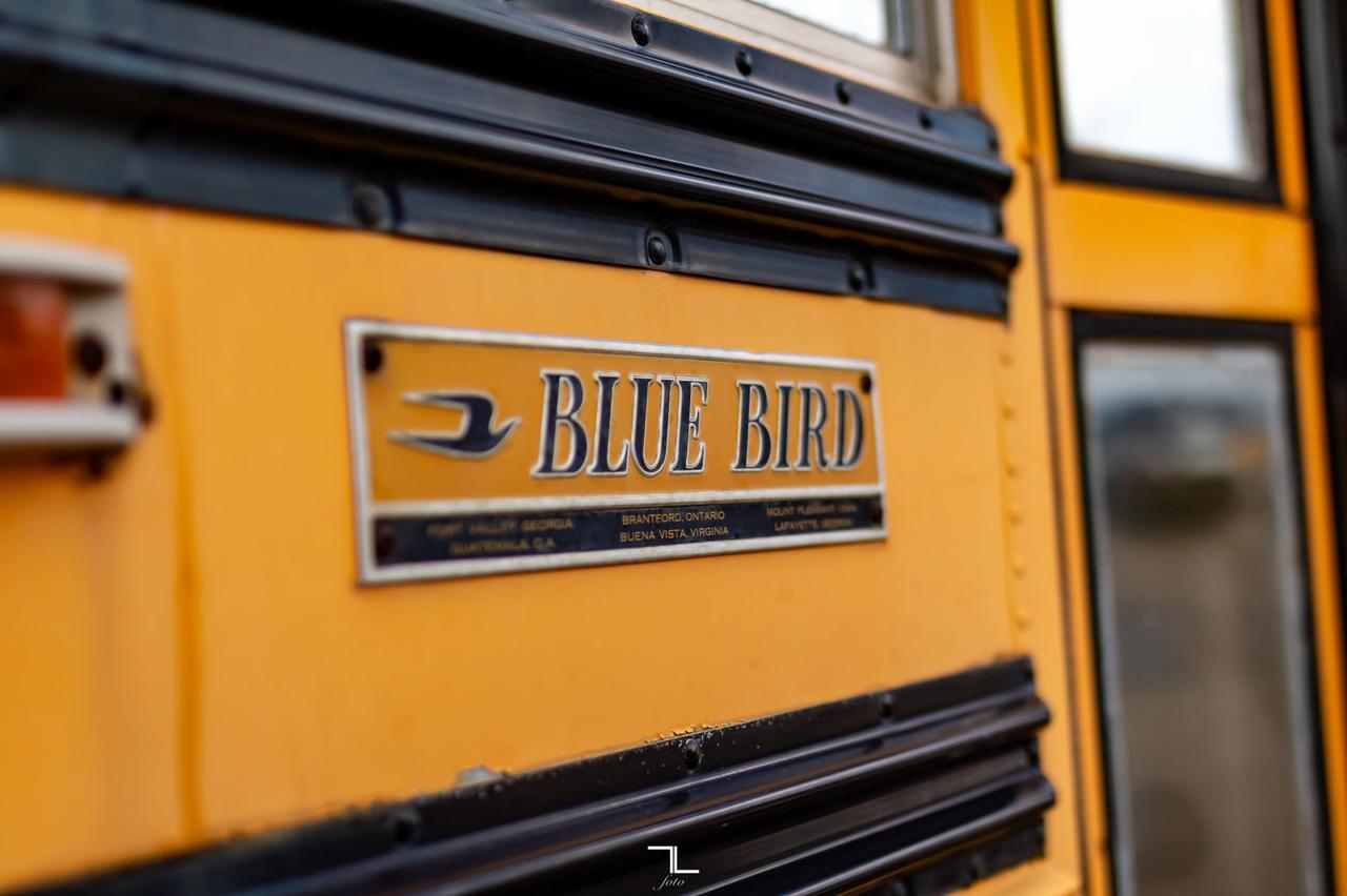 1992 International 3800 Bluebird Series 66 Passenger Bus Diesel Manual Red Deer AB