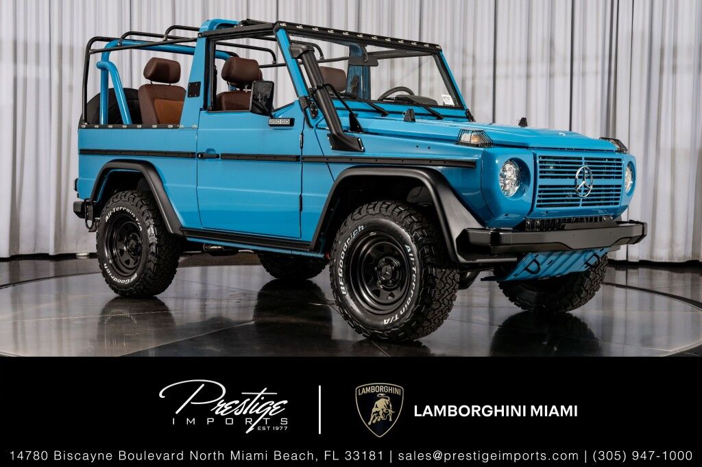 1992 Mercedes-Benz 250 GD Wolf V5