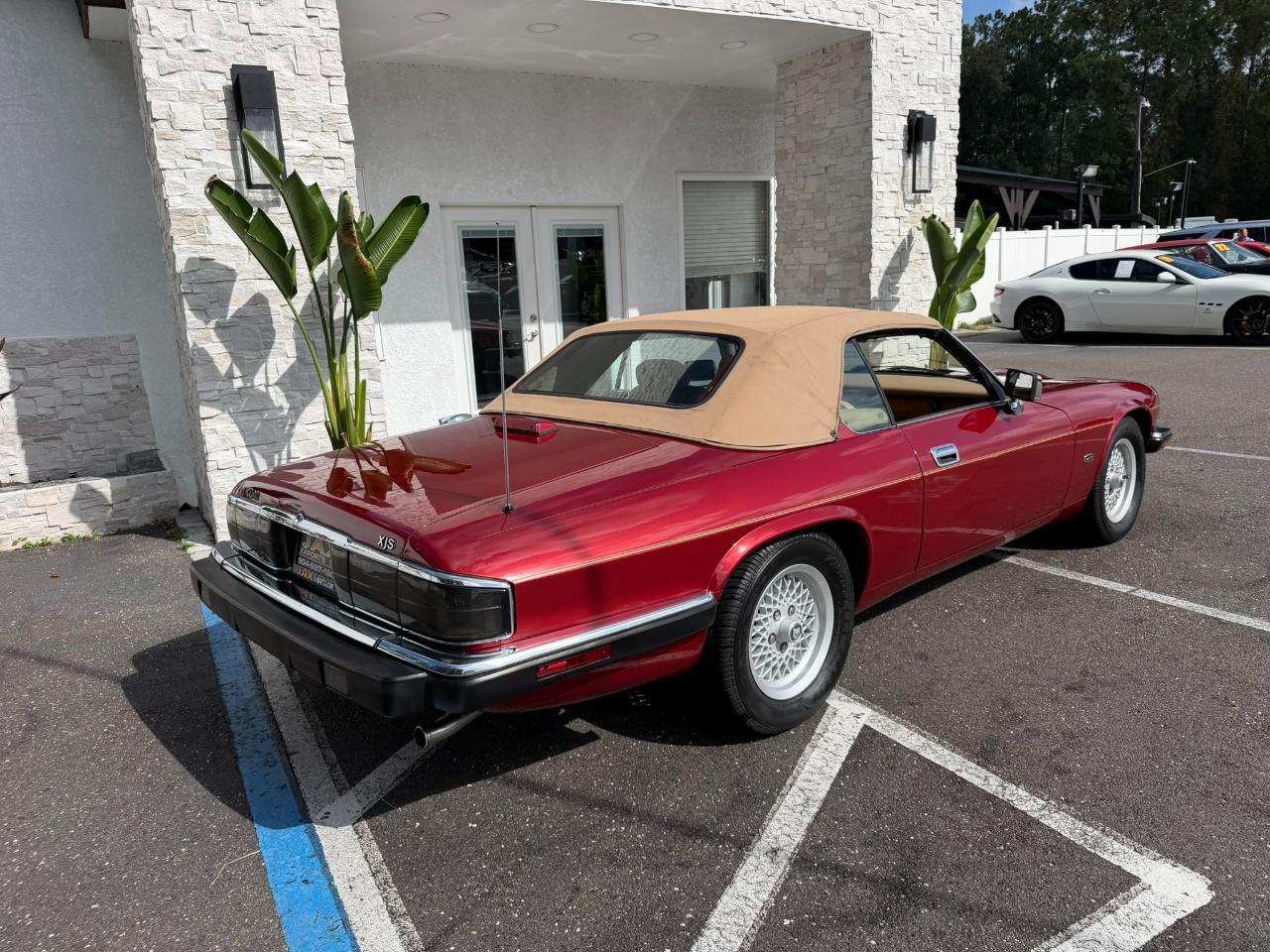 1993 Jaguar XJS 2dr Convertible Jacksonville FL