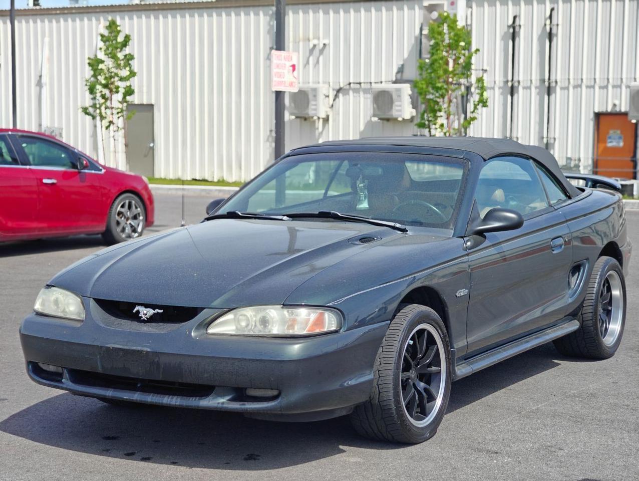 1998 Ford Mustang GT V8's photo