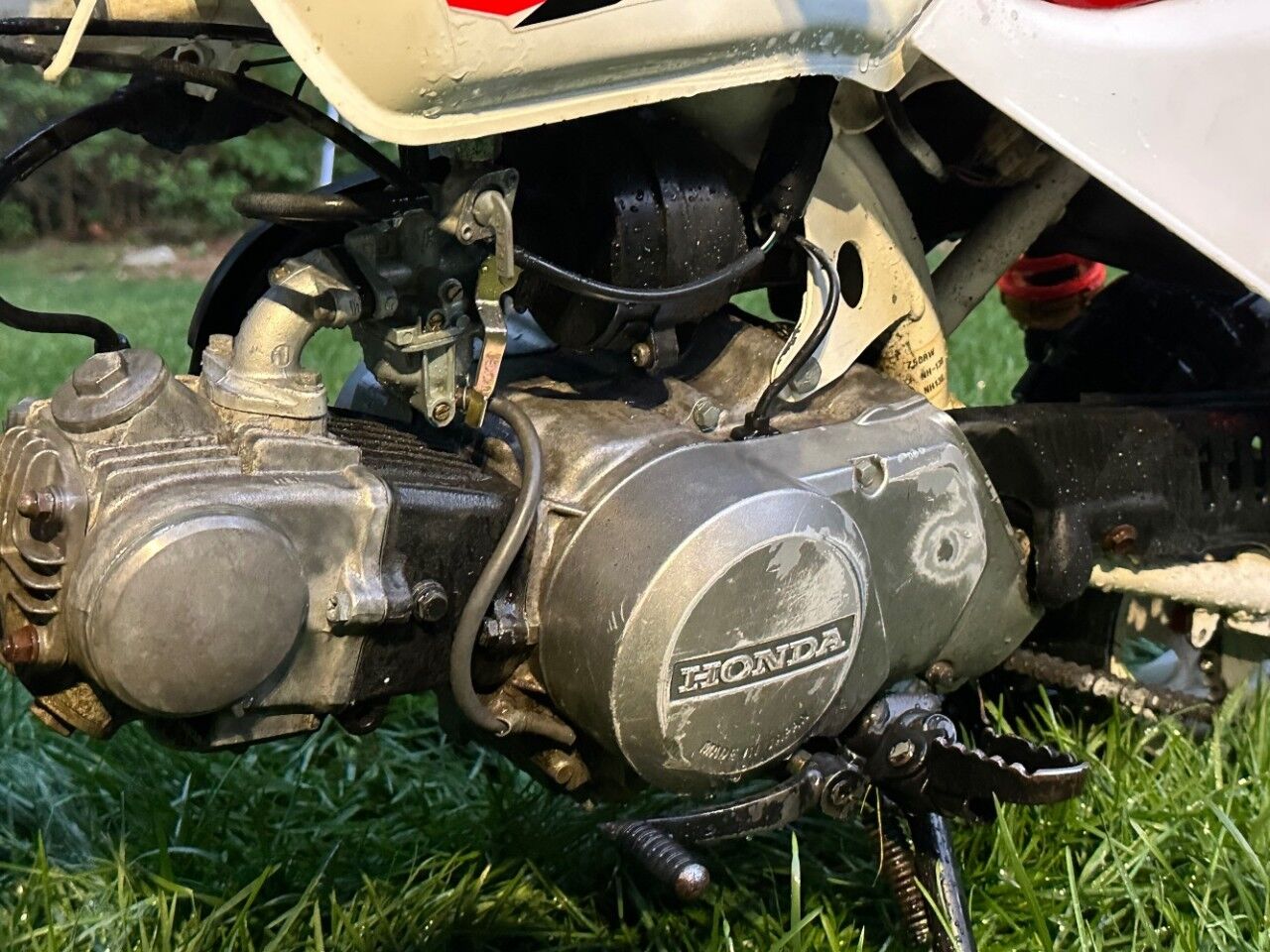 1998 Honda Z50R Charlton MA