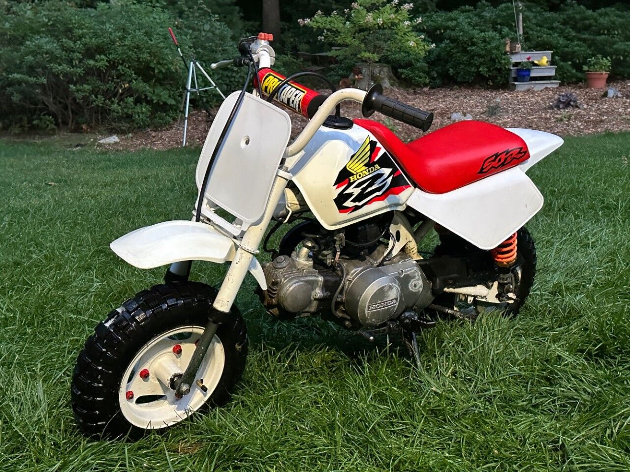 1998 Honda Z50R Charlton MA