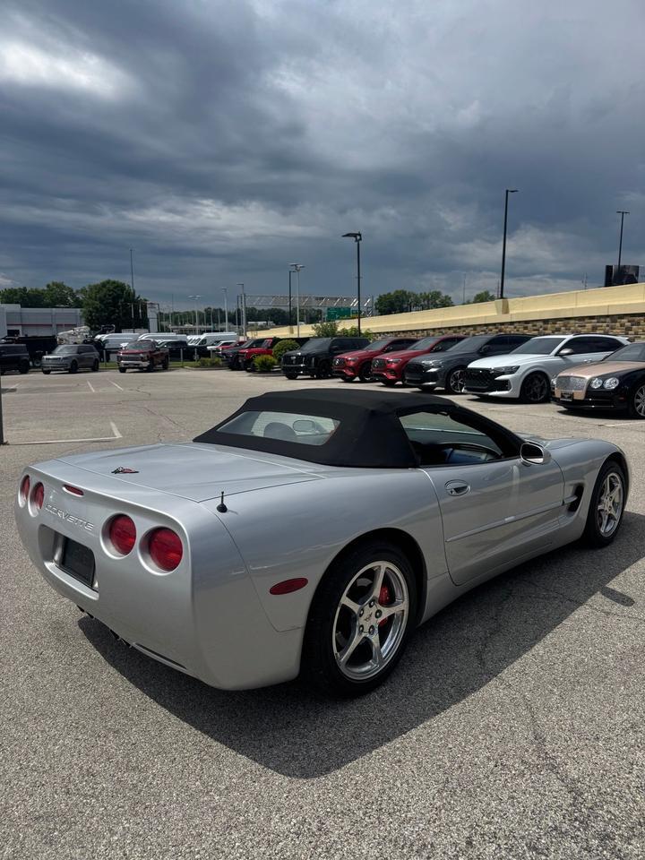 1999 Chevrolet Corvette Base Indianapolis IN