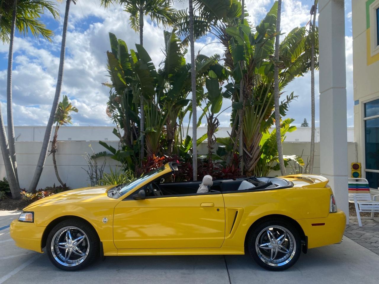 1999 Ford Mustang GT LOW MILES 8,145 1 OWNER FL CONV Pompano Beach FL