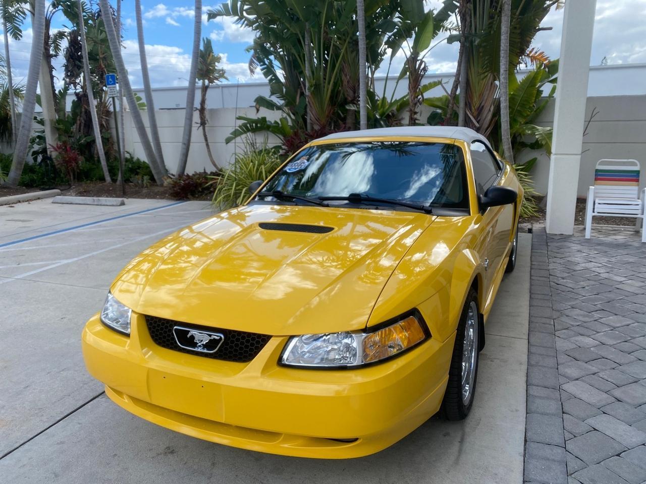 1999 Ford Mustang GT LOW MILES 8,145 1 OWNER FL CONV Pompano Beach FL