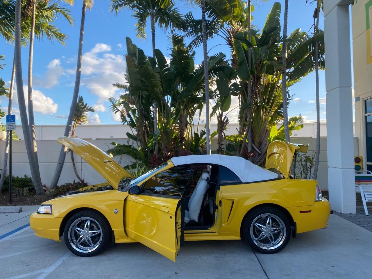 1999 Ford Mustang GT LOW MILES 8,145 1 OWNER FL CONV Pompano Beach FL