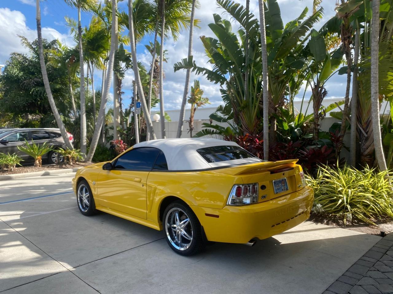 1999 Ford Mustang GT LOW MILES 8,145 1 OWNER FL CONV Pompano Beach FL
