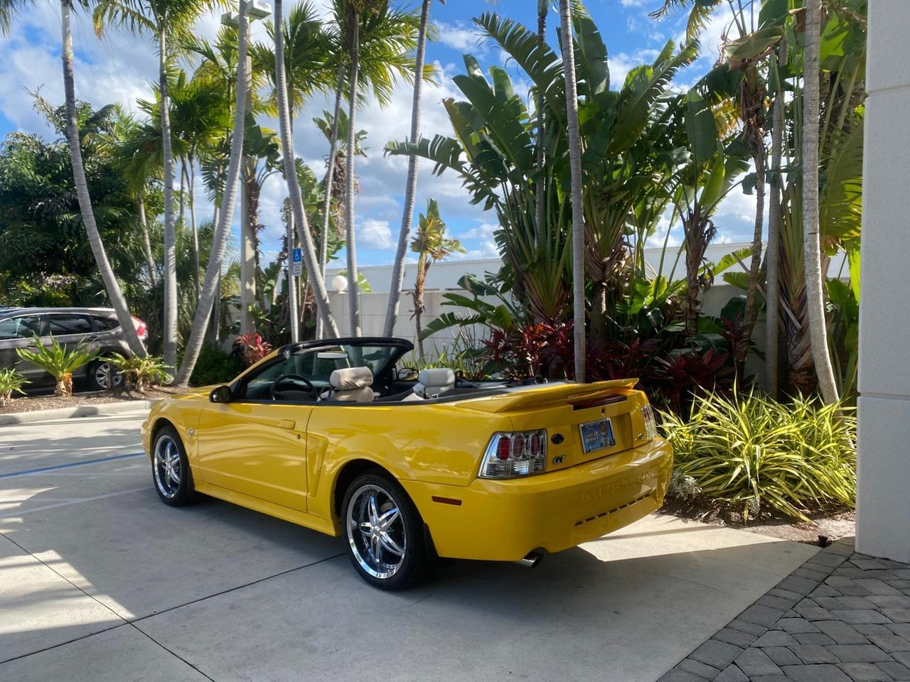 1999 Ford Mustang GT LOW MILES 8,145 1 OWNER FL CONV Pompano Beach FL