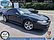 1999 Ford Mustang SVT Cobra