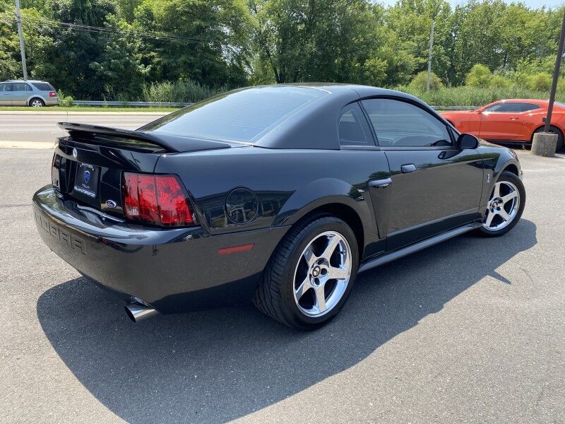 1999 Ford Mustang SVT Cobra Bristol  PA