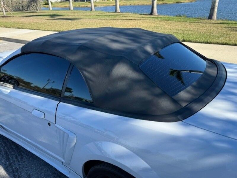 2001 Ford MUSTANG GT PREMIUM CONVERTIBLE SALEEN 281 LOW MILES RECARO SEATS COLD AC FREE SHIPPING IN FLORIDA Sarasota FL