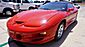 2001 Pontiac Firebird Trans Am Laredo TX