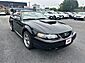 2002 Ford Mustang GT Worcester MA 2002 Ford Mustang GT Worcester MA