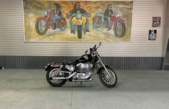 2002 Harley Davidson Sportster 883