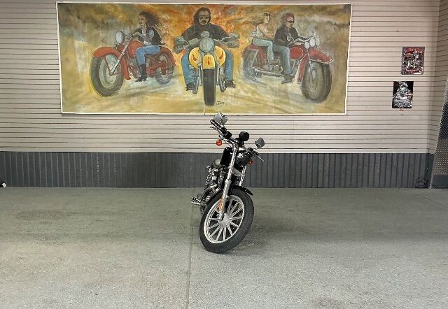 2002 Harley Davidson Sportster 883 BLACK