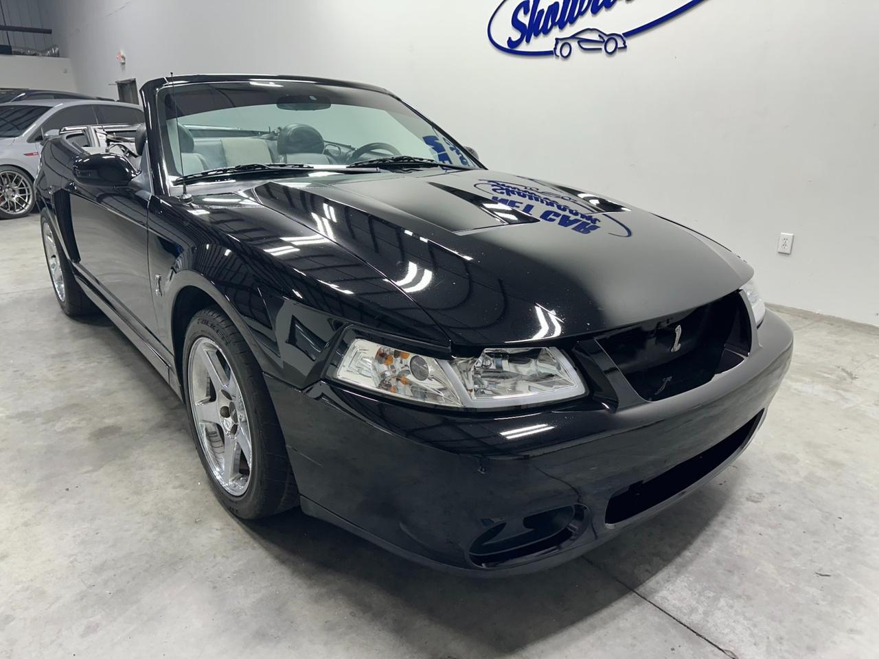 2003 Ford Mustang SVT Cobra 10th Anniv Houston TX