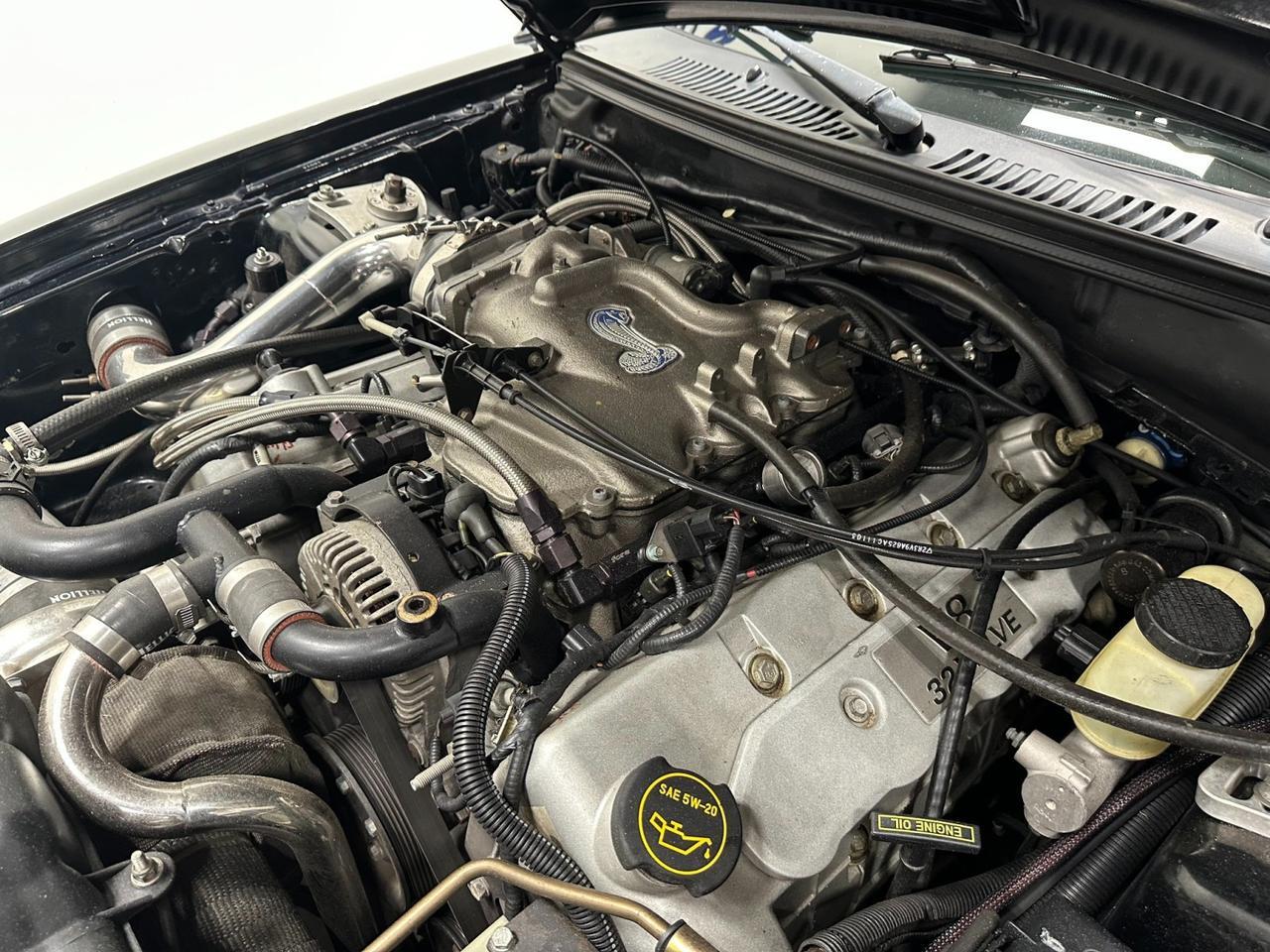 2003 Ford Mustang SVT Cobra 10th Anniv Houston TX