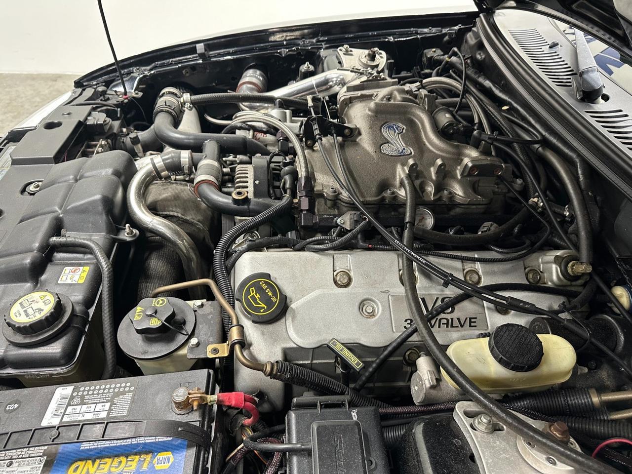 2003 Ford Mustang SVT Cobra 10th Anniv Houston TX