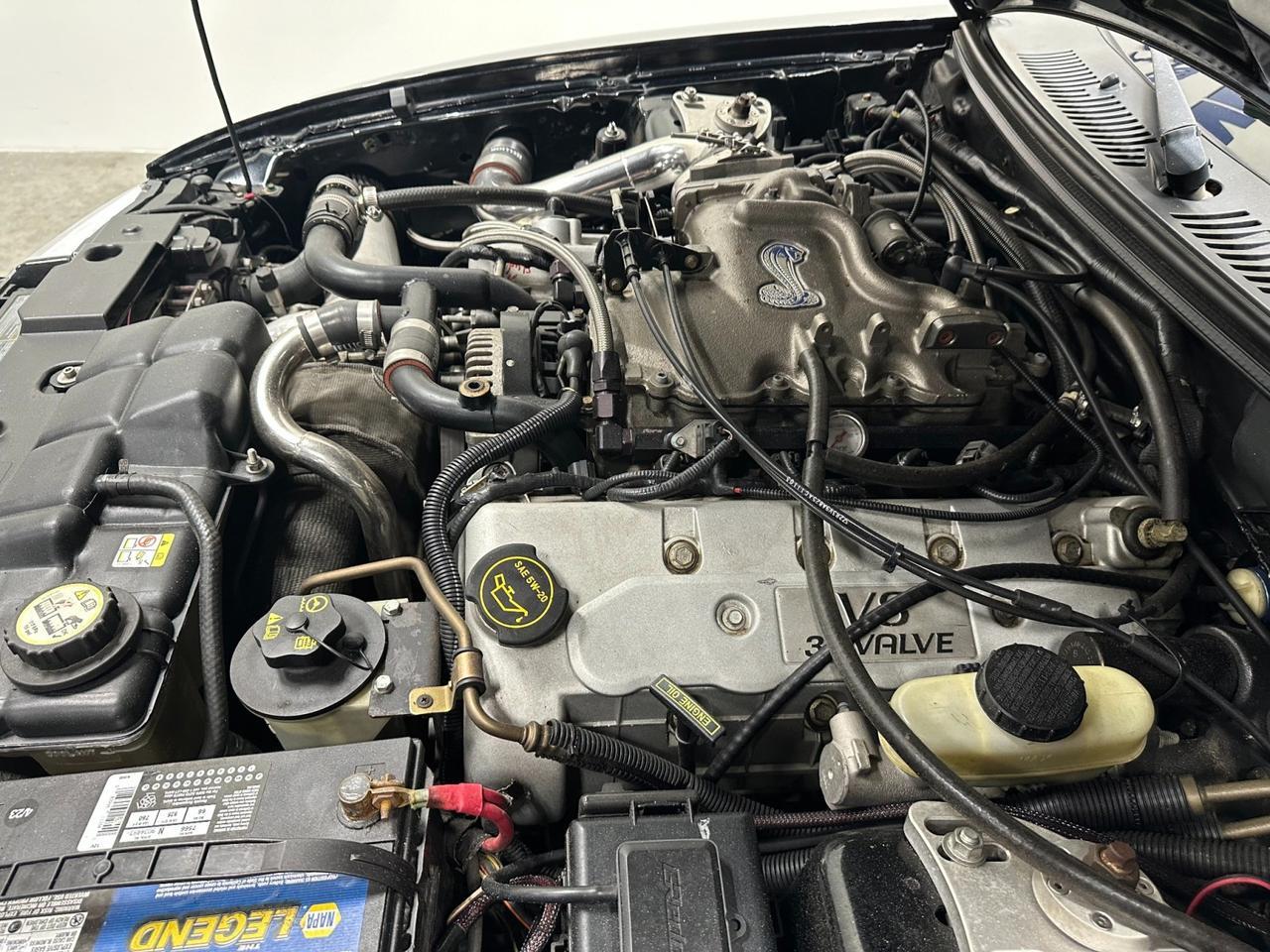 2003 Ford Mustang SVT Cobra 10th Anniv Houston TX
