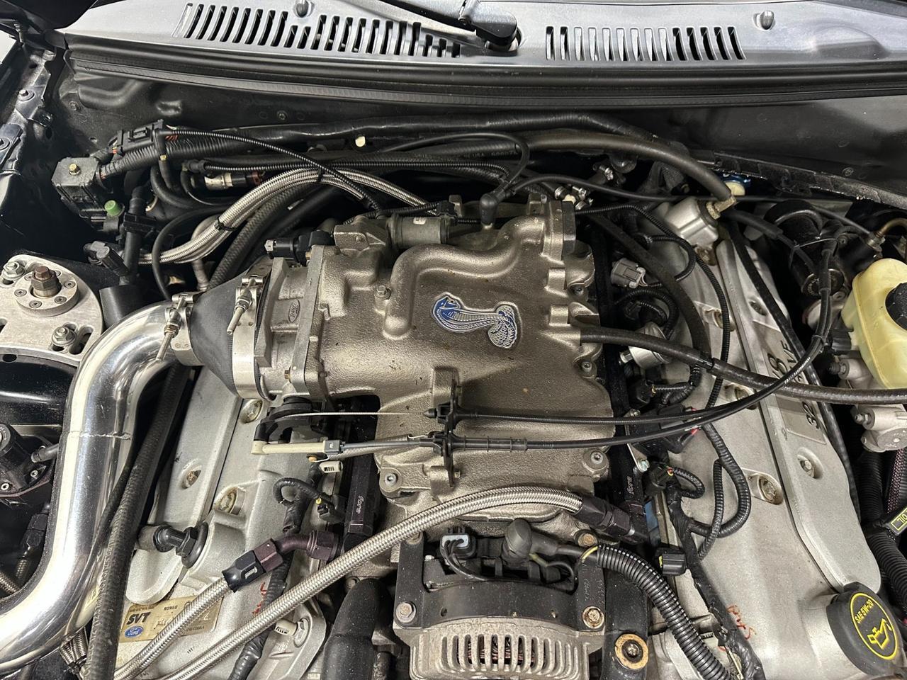 2003 Ford Mustang SVT Cobra 10th Anniv Houston TX