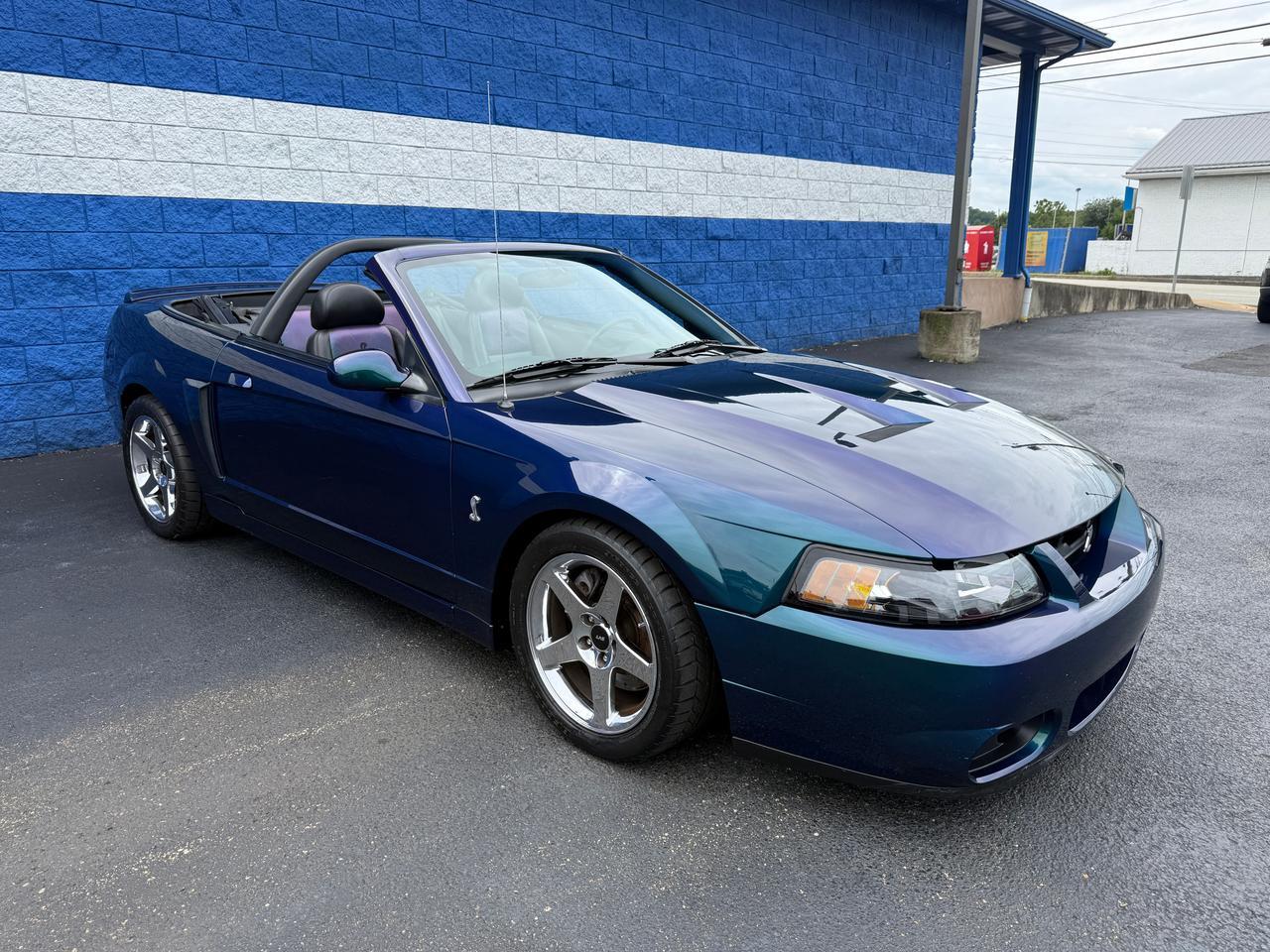 2004 Ford Mustang Cobra