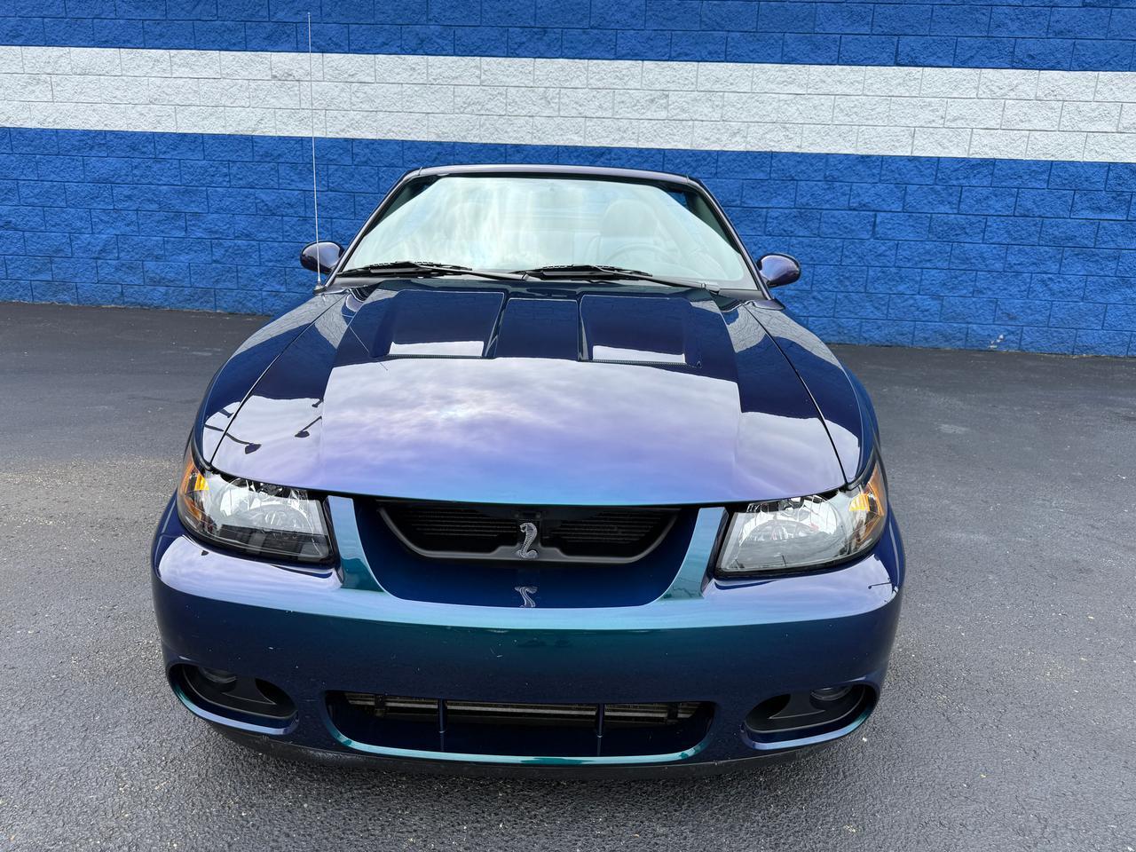 2004 Ford Mustang Cobra Connellsville PA
