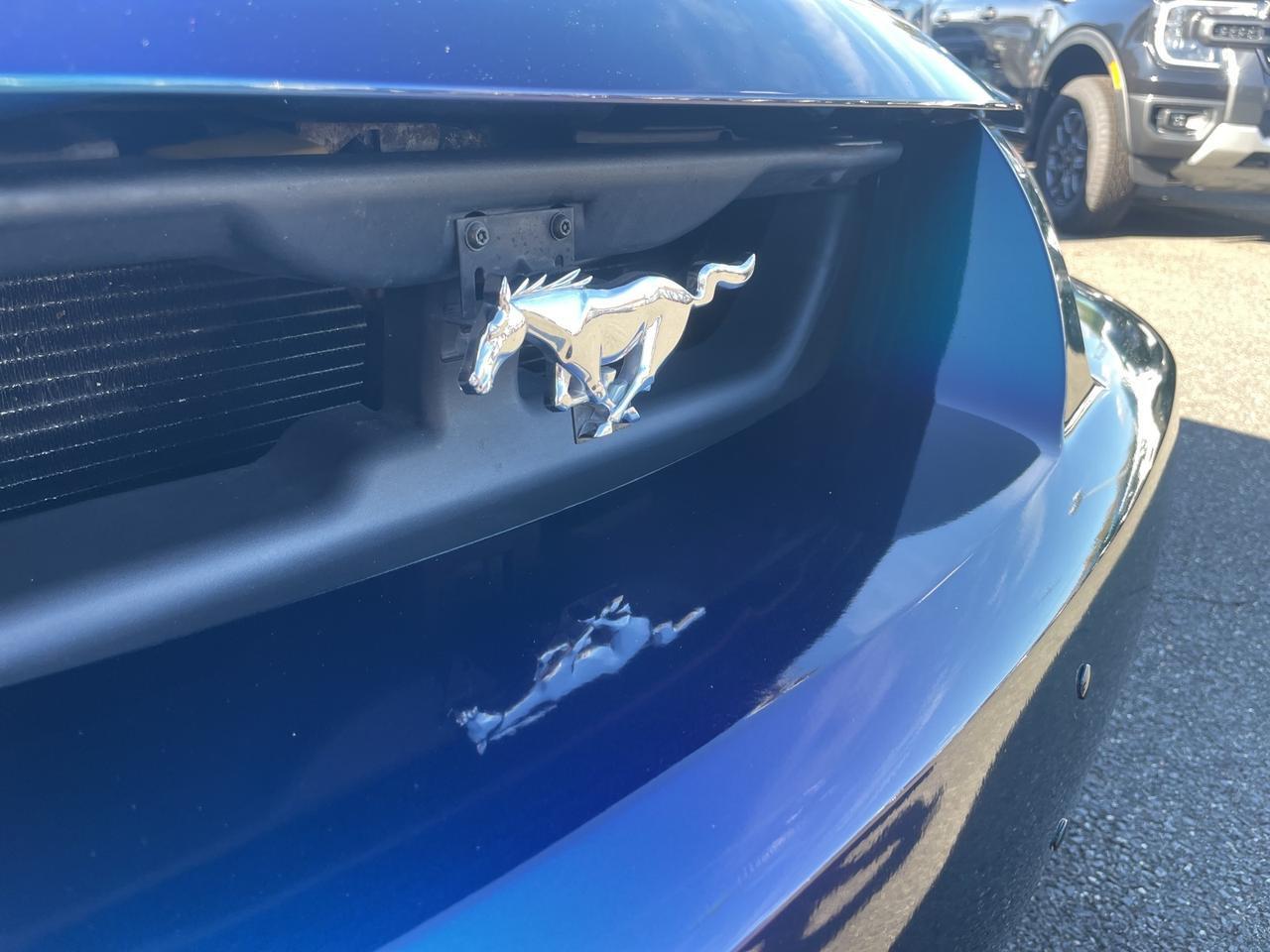 2004 Ford Mustang Cobra Warrenton VA