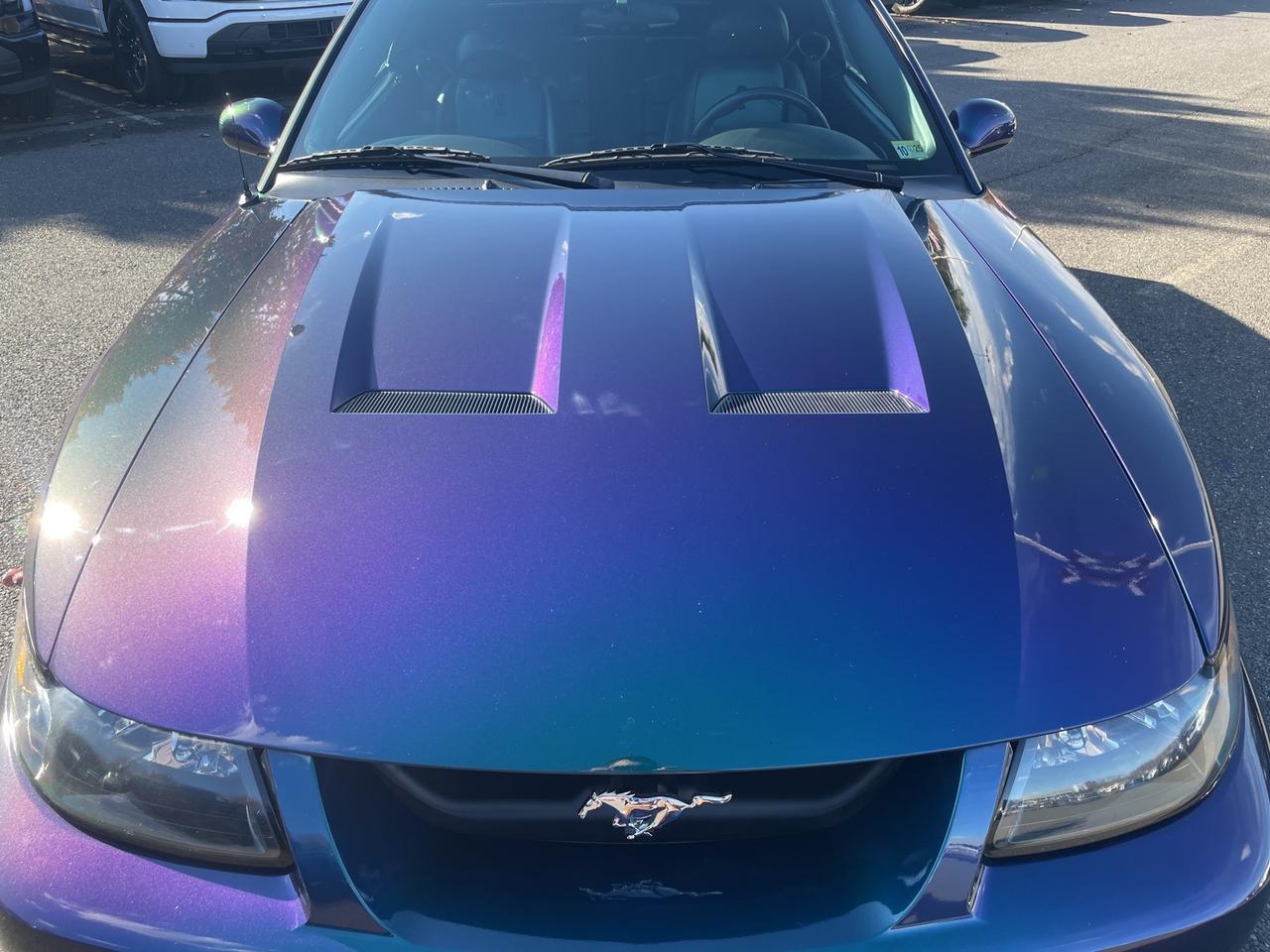 2004 Ford Mustang Cobra Warrenton VA