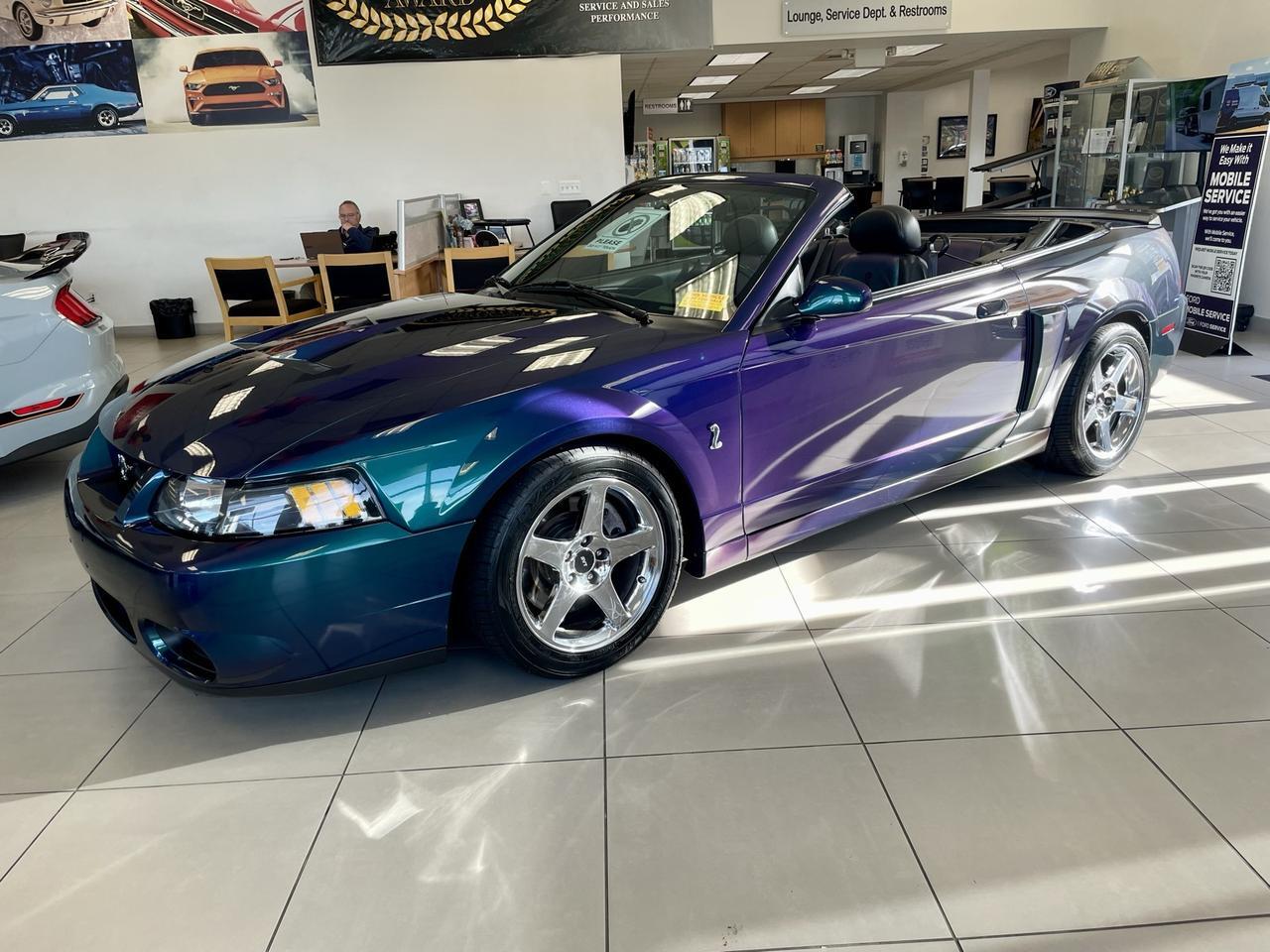 2004 Ford Mustang Cobra Warrenton VA