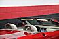 2005 Cadillac XLR 2dr Convertible Chicago IL