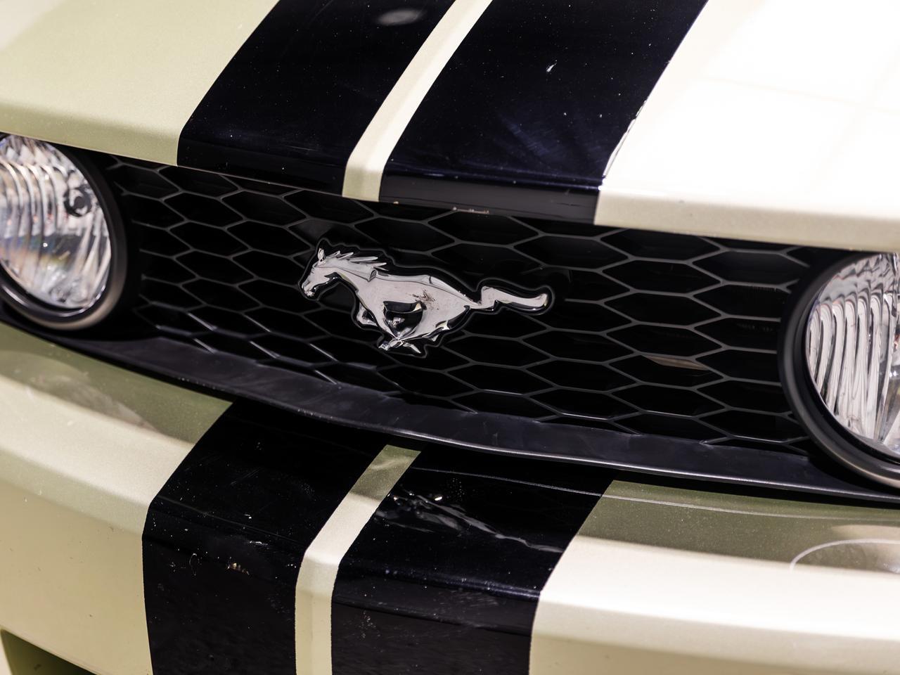 2005 Ford Mustang GT Deluxe Roush Stage 1 Cranberry PA