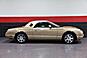 2005 Ford Thunderbird 50th Anniversary 2dr Convertible Chicago IL