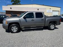 Chevrolet Silverado 1500 LS Crew Cab 2007