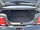2007 Ford Mustang GT Premium Milwaukee WI