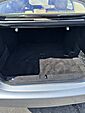 2007 Mercedes-Benz S-Class 5.5L V8 Henrico VA