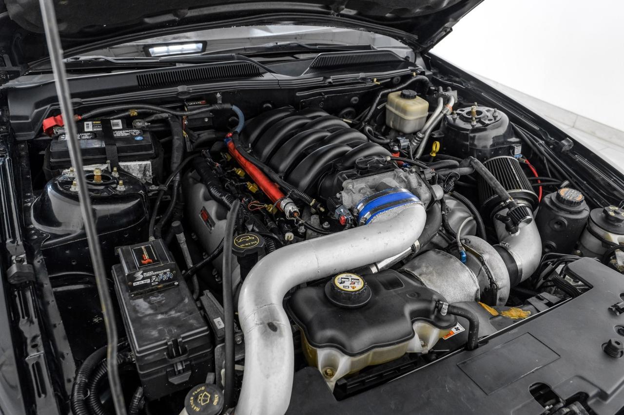 2008 Ford Mustang GT Deluxe photo 32