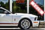 2008 Ford Shelby GT500 Convertible Boston MA