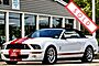 2008 Ford Shelby GT500 Convertible Boston MA