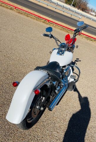 2008 Harley-Davidson FLSTC -
