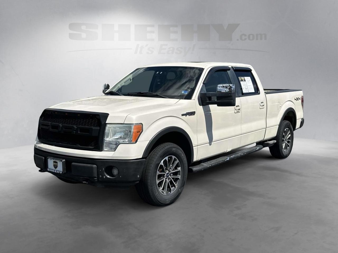 2009 Ford F-150 Platinum Alexandria VA