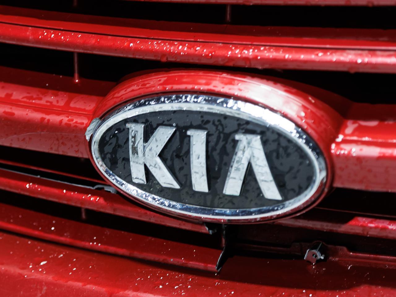 2009 Kia Sedona LX 7-Passenger Cranberry PA