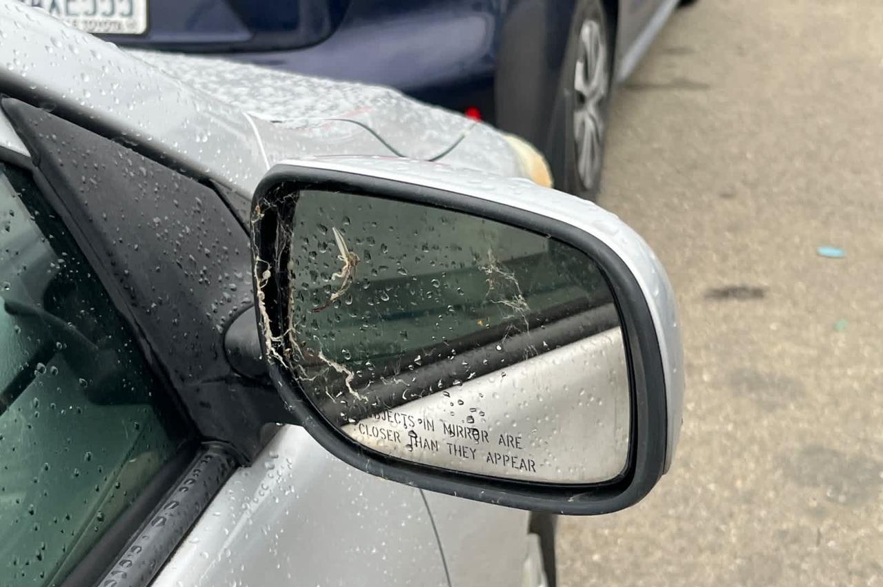 2009 Toyota Corolla LE Roseville CA