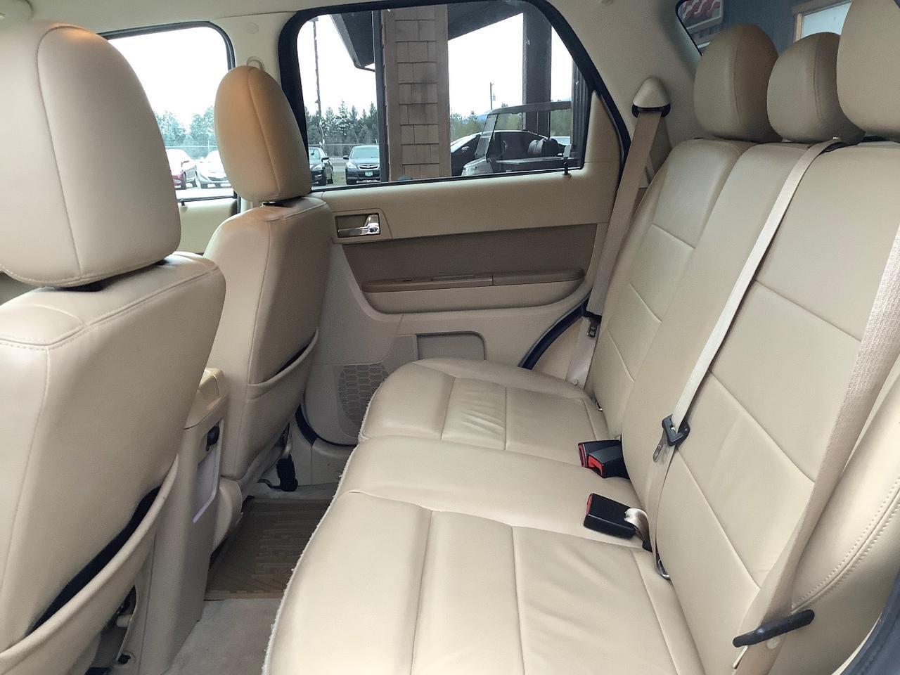 2010 Ford Escape Limited Hayden ID