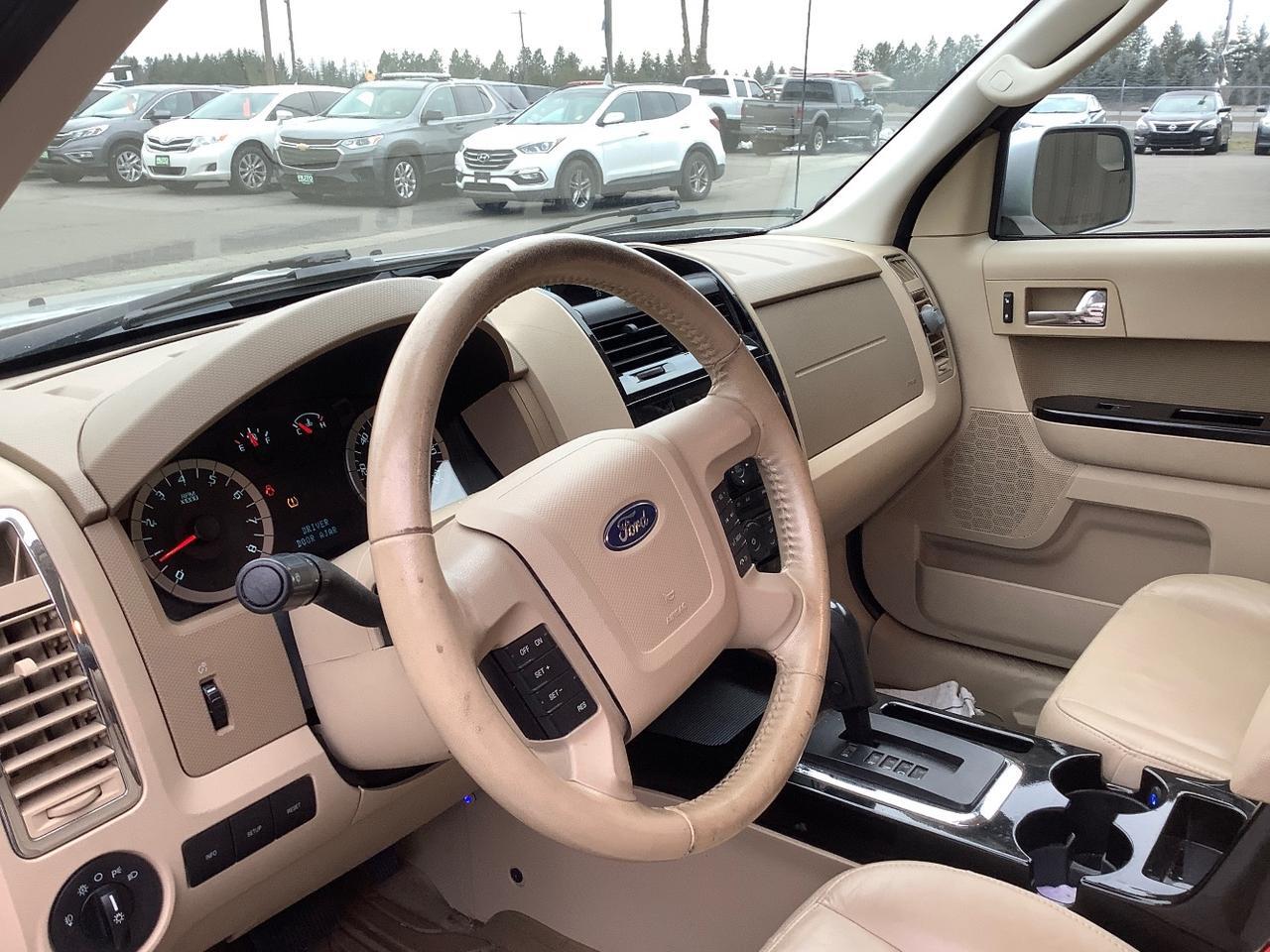 2010 Ford Escape Limited Hayden ID