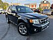 2010 Ford Escape Limited