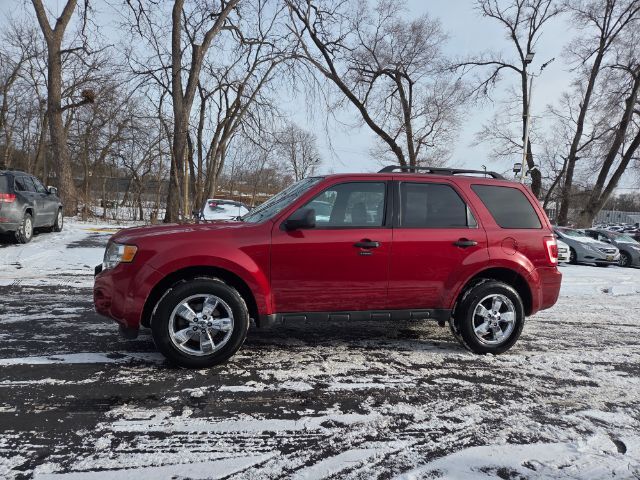 2010 Ford Escape XLT Elgin IL