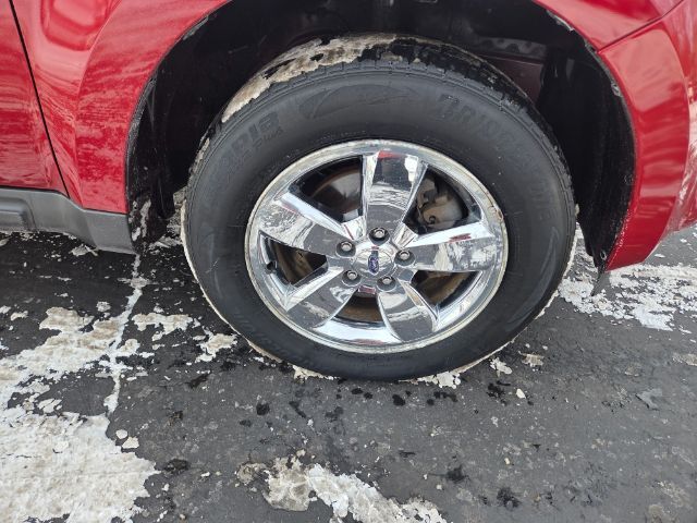 2010 Ford Escape XLT Elgin IL